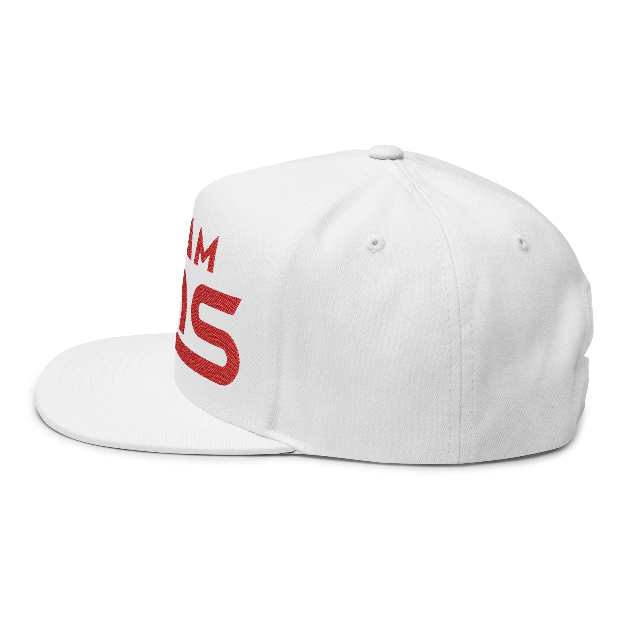 Stylish Flat Bill Cap, Custom Embroidered Hat, Team Spirit Cap, Trendy Snapback, Gift for Sports Fans